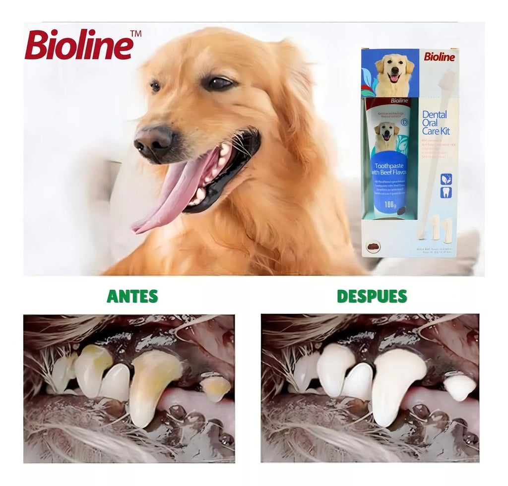 Set Cuidado Dental Bioline Para Perro