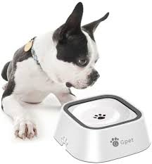 Plato Antiderrame Para Perros Y Gatos