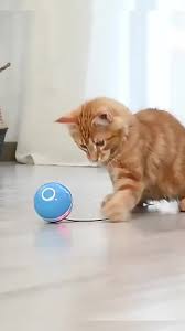 JUGUETE BOLA INTERACTIVA PARA GATOS